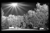фото анонса товара пейзаж 12