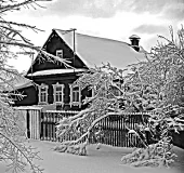 фото анонса товара пейзаж 14